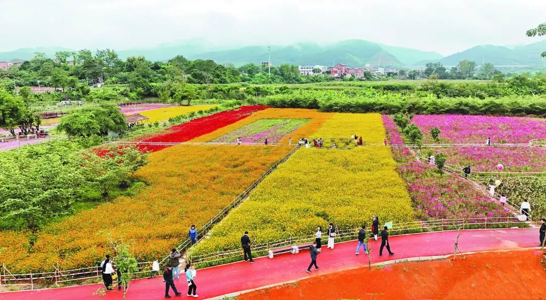 右江日報-2 右江日報-2